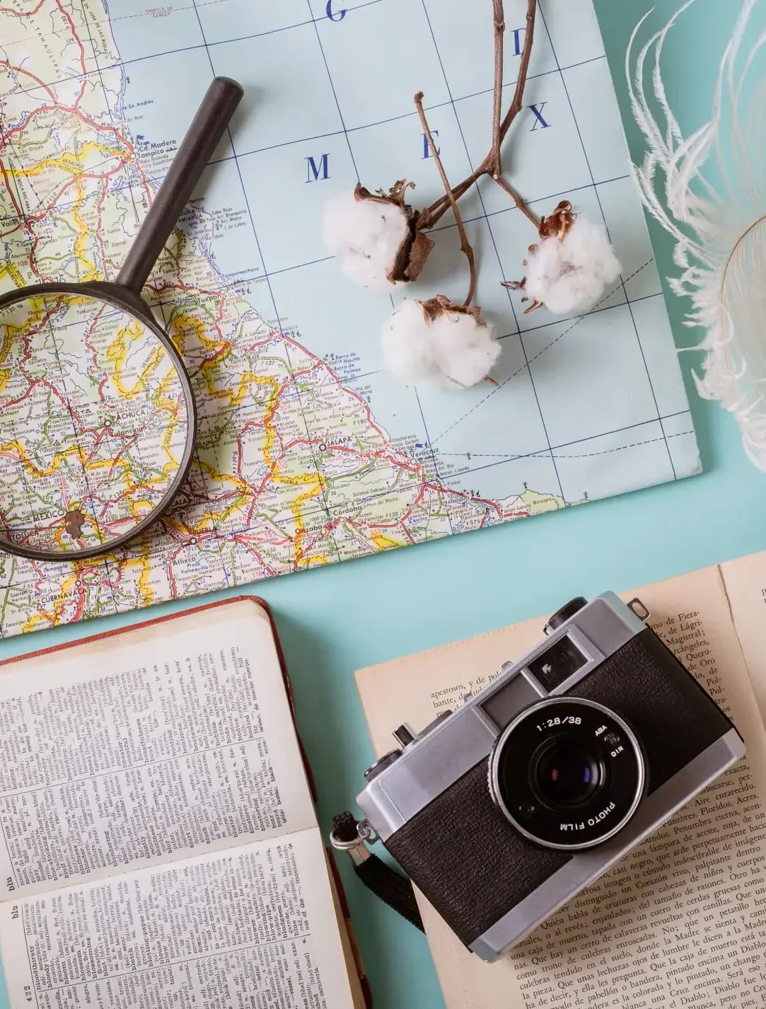 Sakura Trip Japan 13